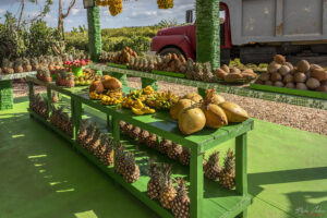 Крайпътна сергия за продажба на плодове и зеленчуци