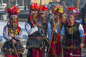 Сурва 2016, Перник